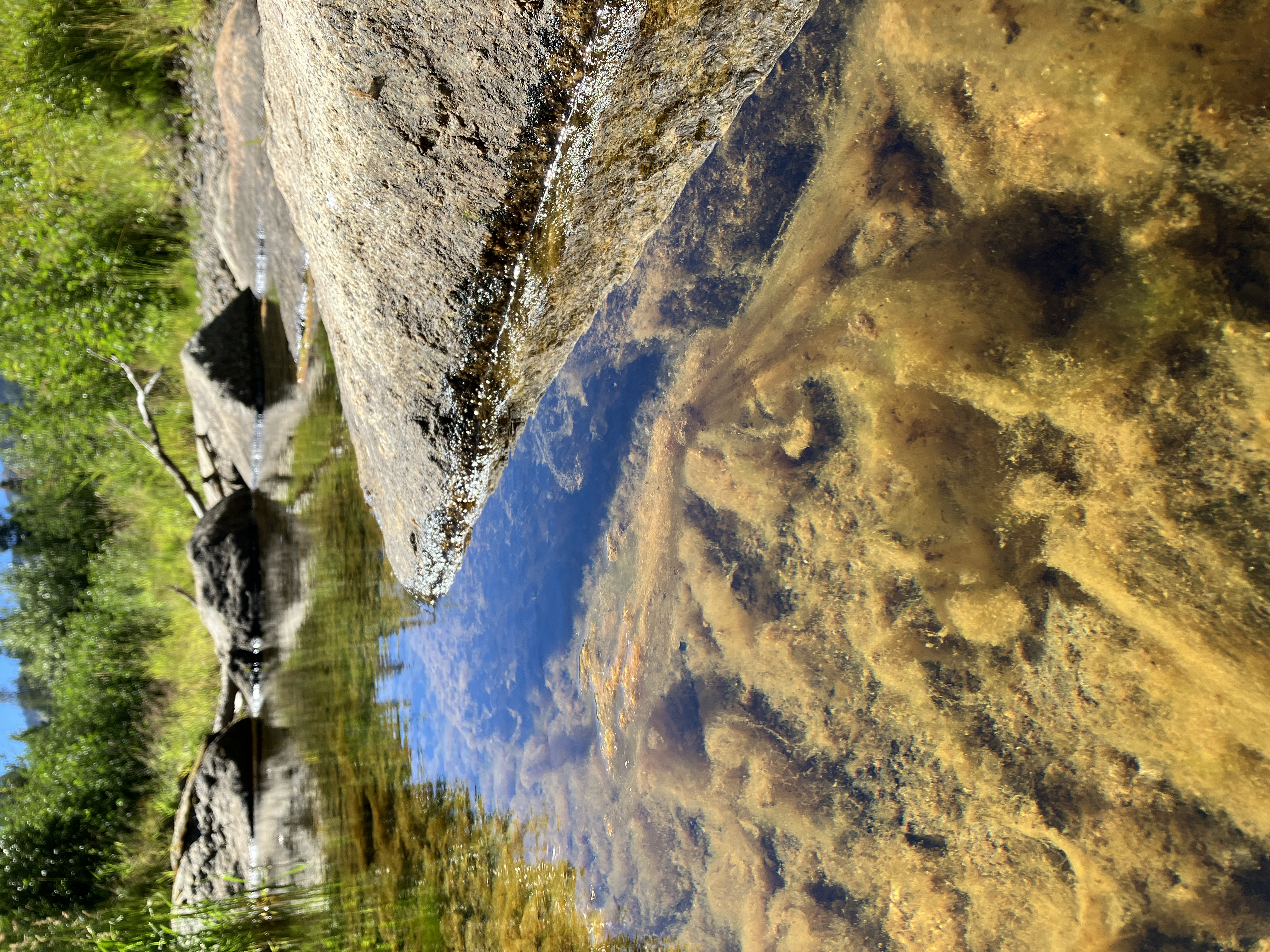 Mountain stream ecosystem metabolism and nitrogen cycling responses to hydroclimatic volatility paper illustration