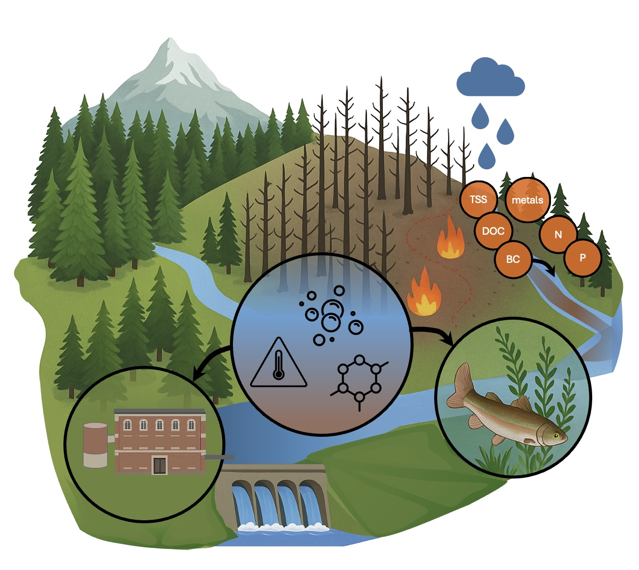 Conceptual diagram of how fire can alter catchment dynamics